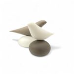 Λευκό πουλί σε βότσαλο