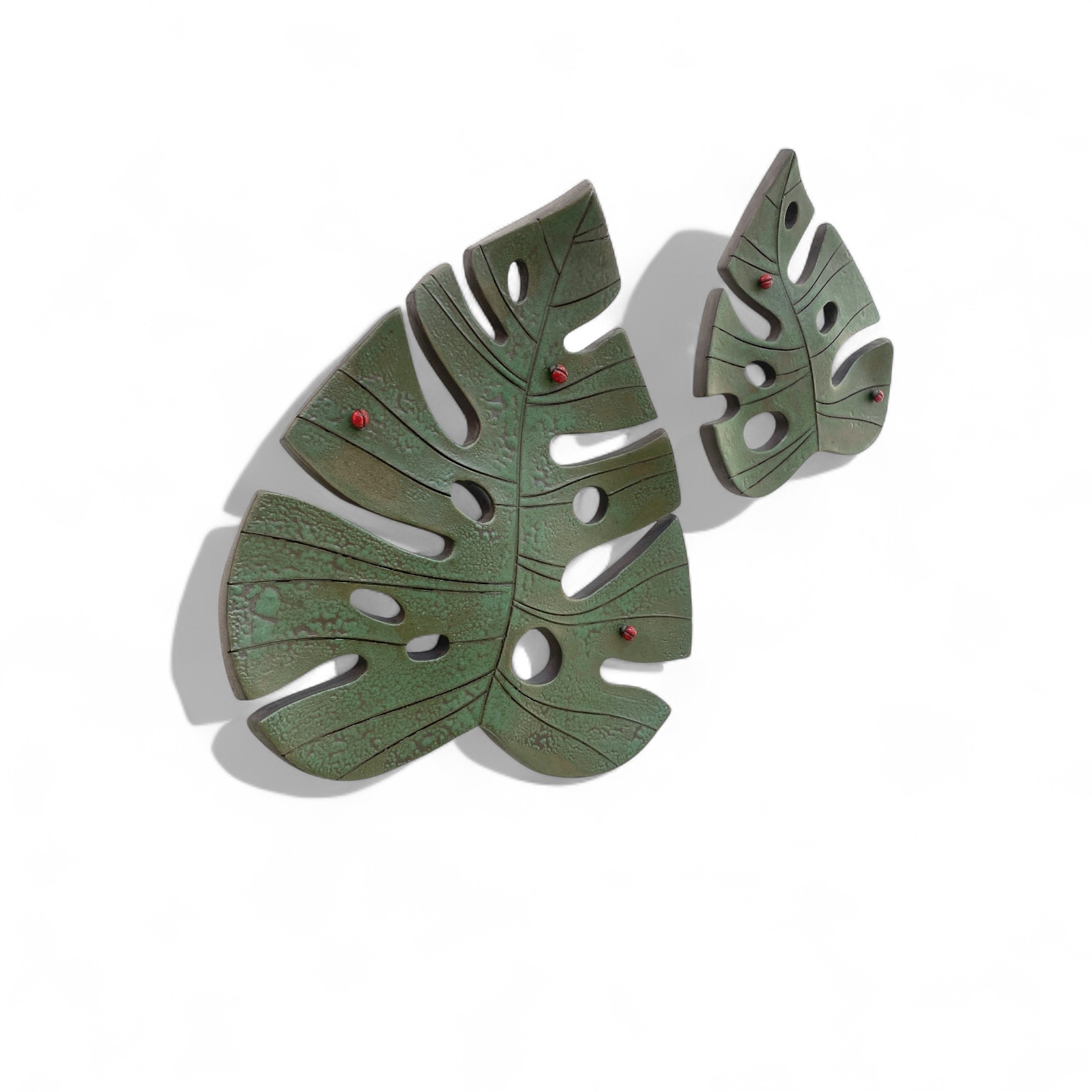 Photoroom_20250731_122000 ΜΟΝΣΤΕΡΑ L - Image 1